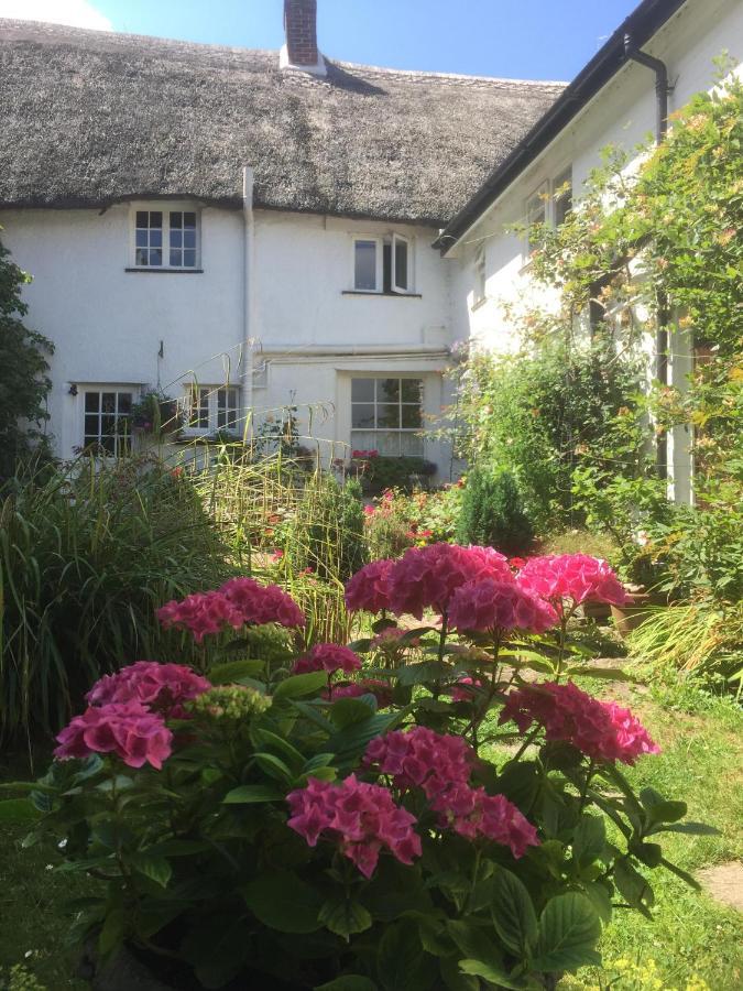 Splatthayes Hotell Honiton Eksteriør bilde