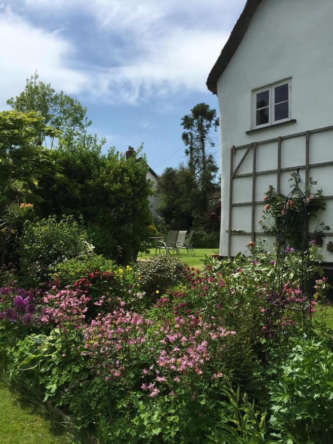 Splatthayes Hotell Honiton Eksteriør bilde