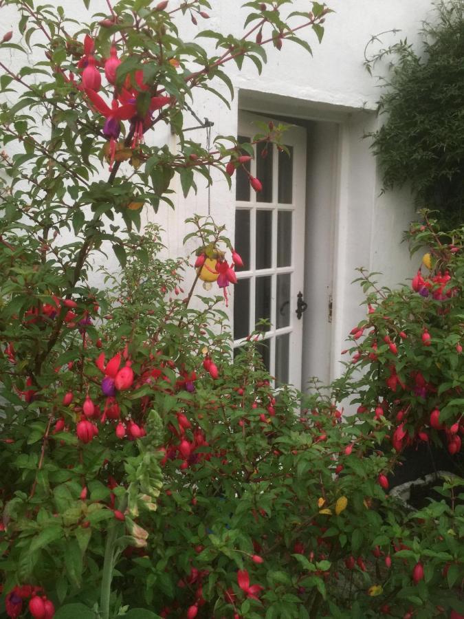 Splatthayes Hotell Honiton Eksteriør bilde