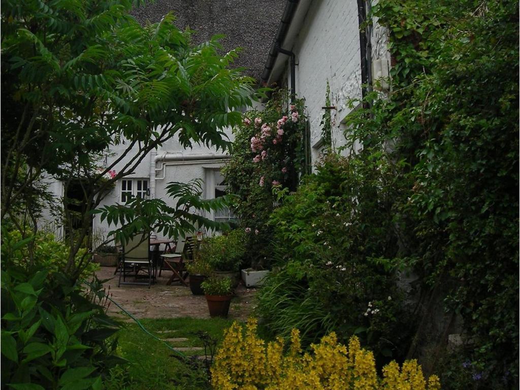 Splatthayes Hotell Honiton Eksteriør bilde